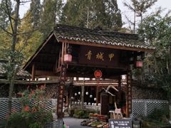 -青城甲(青城山店)