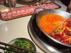 -小龙坎火锅(全球旗舰店)