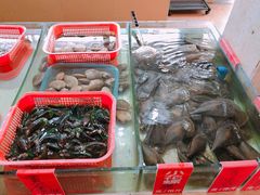 -南庄酒家·海鲜粤菜·25年老字号(环城南路店)