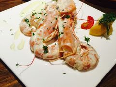 -百好乐宠物友好餐厅(朝外大街店)