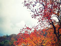 -塔川景区