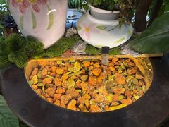 -春满园生态餐厅(南宫路店)