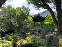 -上海醉白池公园