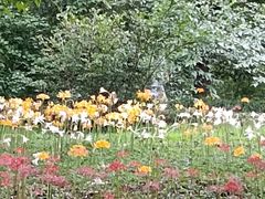 -杭州植物园