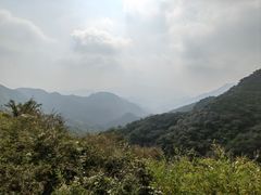 -大岭沟猕猴桃谷风景区