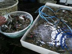 -大连熟食品交易中心