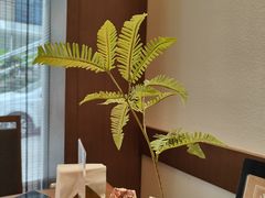 -水之惠鲜鱼料理(王府大街店)