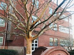 -北京市海淀外国语实验学校