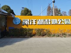 -渌洋湖湿地公园