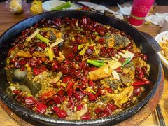 -老板恋上鱼(恒隆广场店)