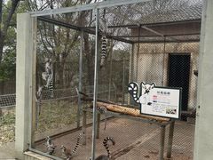 -合肥野生动物园