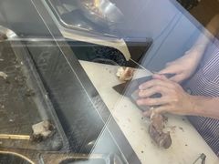 -丰登陕西水盆牛羊肉·泡馍