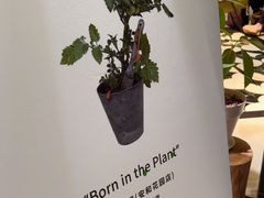 -一尺花园(安和花园店)