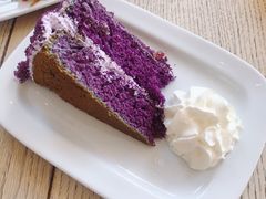 purple velvet-大象咖啡馆
