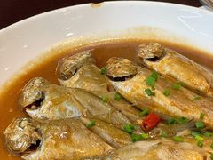 小黄鱼-温岭人家(红花北路店)