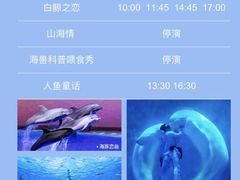 -上海海昌海洋公园