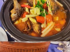 酸辣荷花鱼-金龙寨(龙城路店)