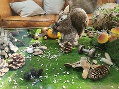 -初拾·花里餐厅(钜城华亿店)