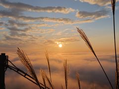 -萍乡武功山风景名胜区