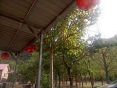 餐具摆设-水韵湾生态农庄