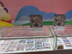 -北京首儿窦店儿童医院