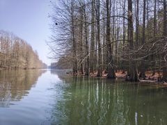 -上海海湾国家森林公园