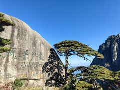 -常州环球恐龙城维景国际大酒店