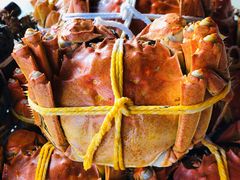 -秋月舫(阳澄湖湖滨中路店)