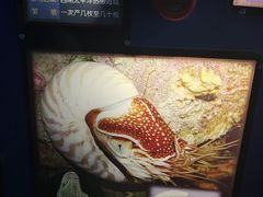 -海合安青岛极地海洋公园