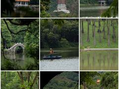-深圳仙湖植物园