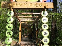 长廊入口-大岭沟猕猴桃谷风景区