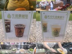 -油梨树AVOCADO TREE(望京店)
