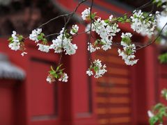 -明蜀王陵(地铁站)