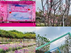 -盈香心动乐园