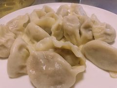 大葱猪肉饺子-东北饺子王(港澳广场购物中心店)
