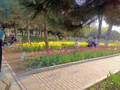 -石家庄市植物园