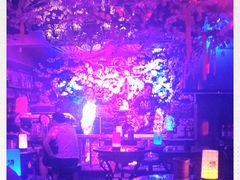 -周庄红庭演艺酒吧