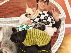 -和它·交个朋友·狗咖猫咖(爱琴海店)