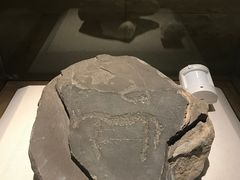 -宁夏博物馆