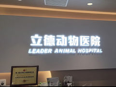 -立德24H动物医院·夜诊·转诊中心·1.5T核磁共振(海珠店)
