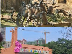 -南宁市动物园