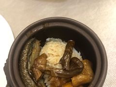 鱼头佛跳墙-食神鱼头佛跳墙(百子湾旗舰店)
