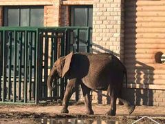 -哈尔滨北方森林动物园