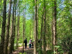 -上海海湾国家森林公园