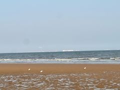 -日照海滨国家森林公园