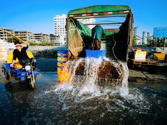 -黄沙水产交易市场