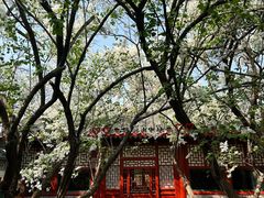 -北京鲁迅博物馆(北京新文化运动纪念馆鲁博馆区)