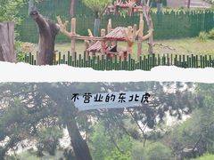 -沈阳森林动物园