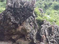 龙虎山自然保护区-广西龙虎山风景区