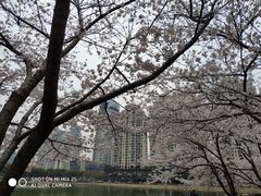 -西北湖绿化广场